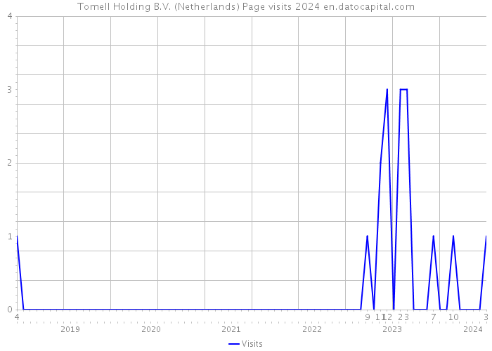Tomell Holding B.V. (Netherlands) Page visits 2024 