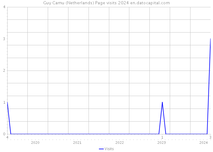 Guy Camu (Netherlands) Page visits 2024 