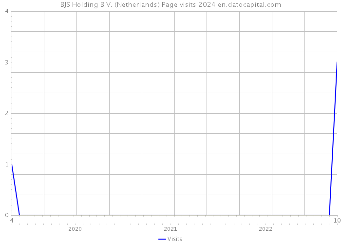 BJS Holding B.V. (Netherlands) Page visits 2024 