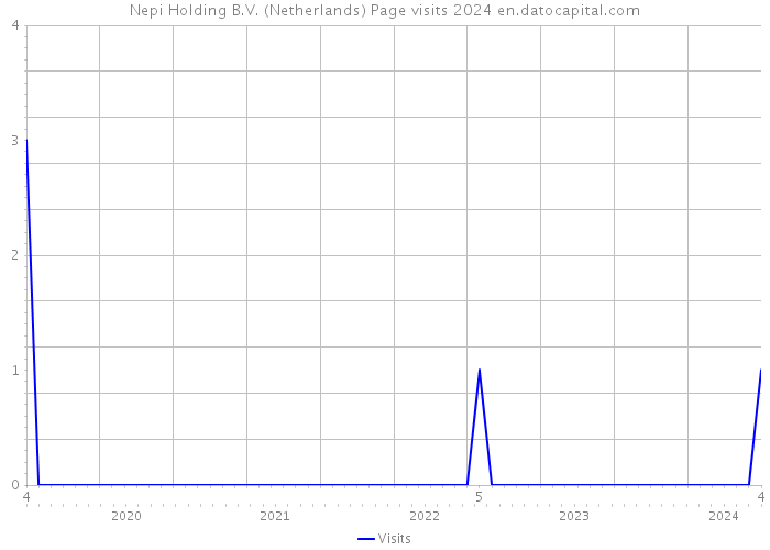Nepi Holding B.V. (Netherlands) Page visits 2024 