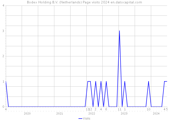 Bodex Holding B.V. (Netherlands) Page visits 2024 