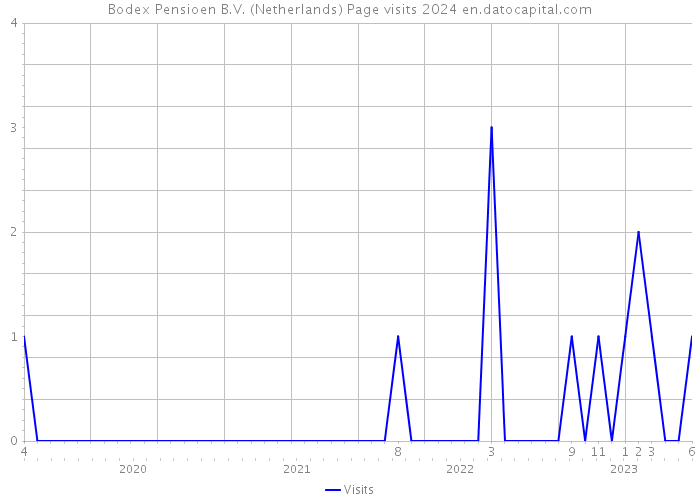 Bodex Pensioen B.V. (Netherlands) Page visits 2024 