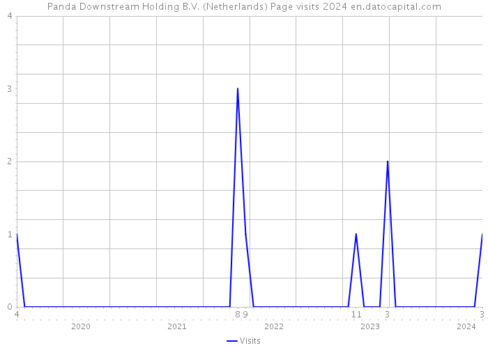 Panda Downstream Holding B.V. (Netherlands) Page visits 2024 