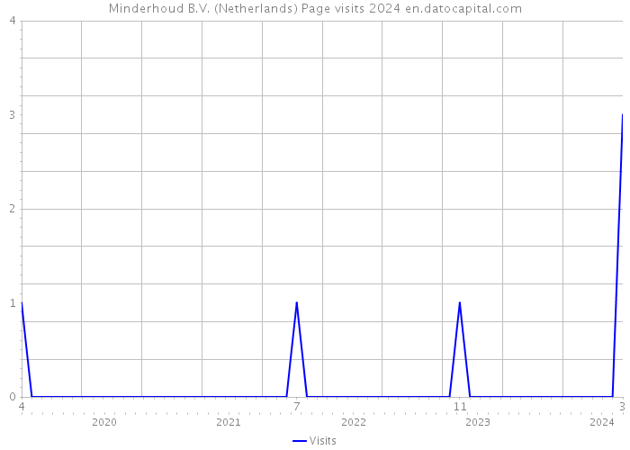 Minderhoud B.V. (Netherlands) Page visits 2024 