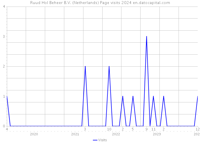 Ruud Hol Beheer B.V. (Netherlands) Page visits 2024 
