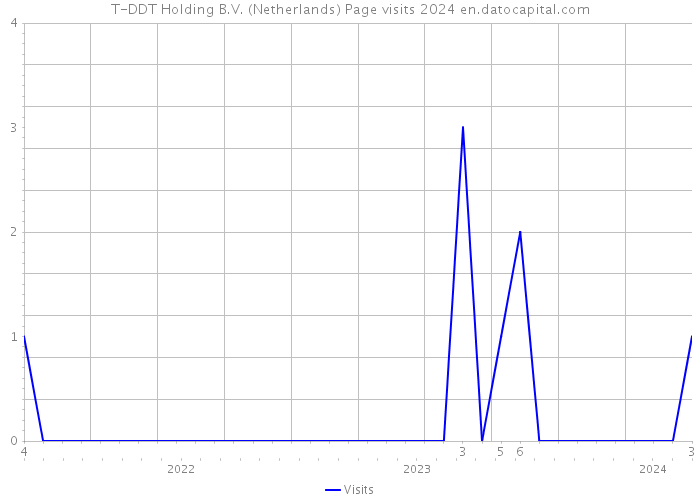 T-DDT Holding B.V. (Netherlands) Page visits 2024 