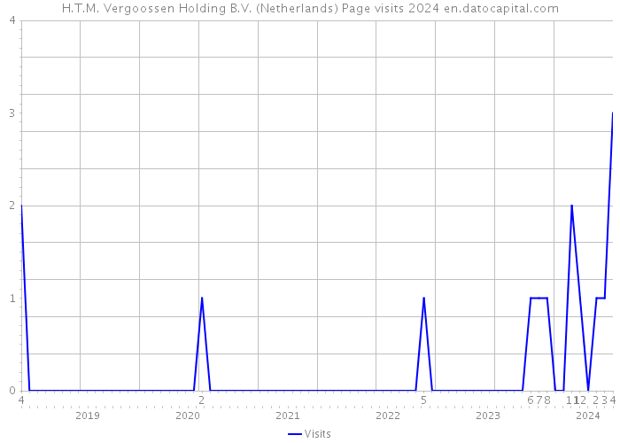 H.T.M. Vergoossen Holding B.V. (Netherlands) Page visits 2024 