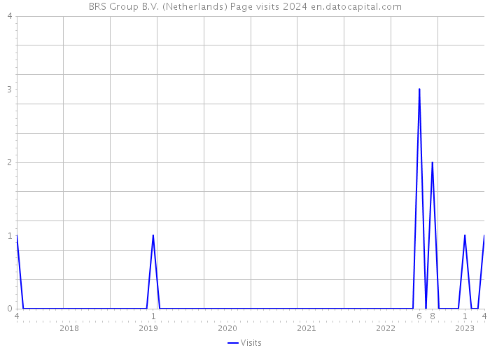 BRS Group B.V. (Netherlands) Page visits 2024 
