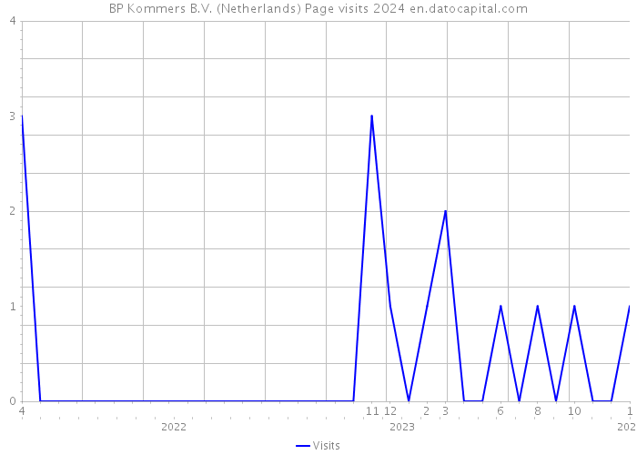 BP Kommers B.V. (Netherlands) Page visits 2024 