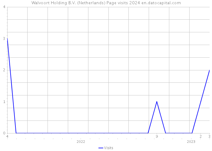 Walvoort Holding B.V. (Netherlands) Page visits 2024 