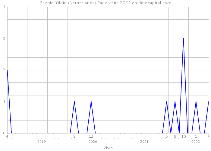 Sezgin Yilgin (Netherlands) Page visits 2024 