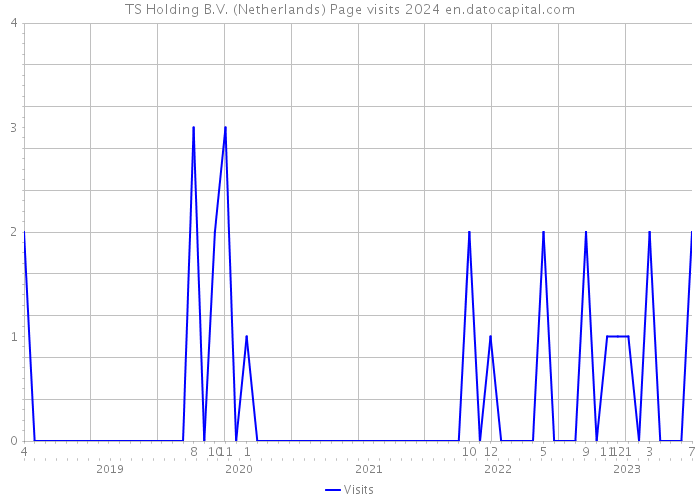 TS Holding B.V. (Netherlands) Page visits 2024 