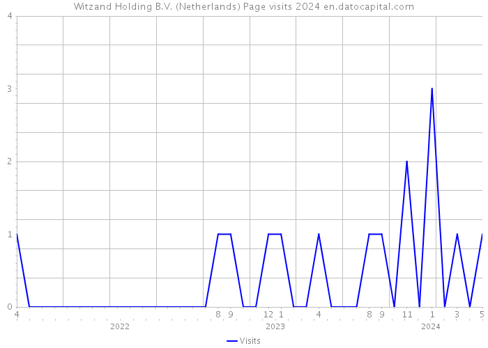 Witzand Holding B.V. (Netherlands) Page visits 2024 