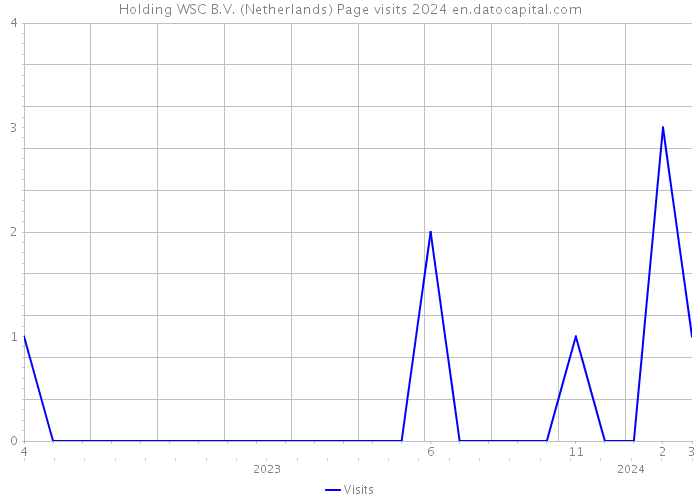 Holding WSC B.V. (Netherlands) Page visits 2024 