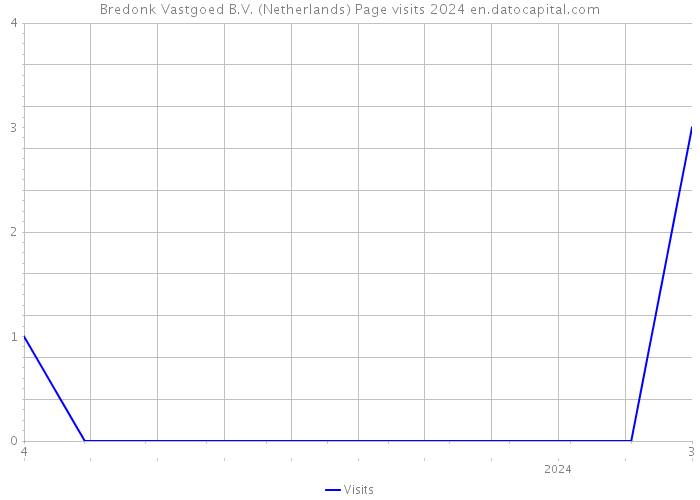 Bredonk Vastgoed B.V. (Netherlands) Page visits 2024 
