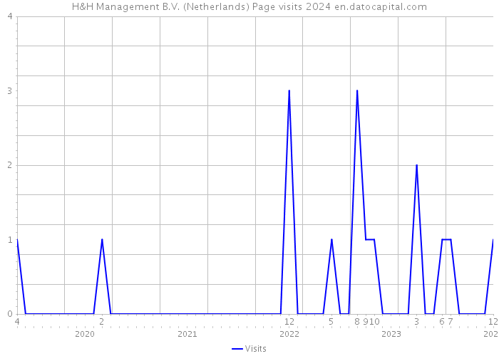 H&H Management B.V. (Netherlands) Page visits 2024 