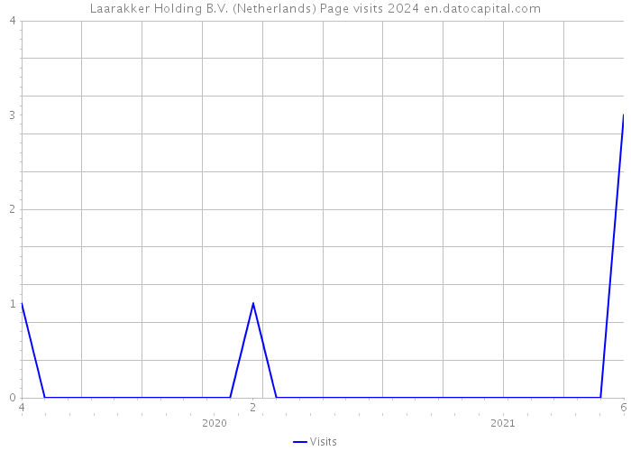 Laarakker Holding B.V. (Netherlands) Page visits 2024 