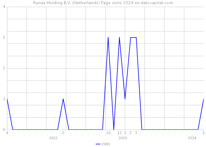 Runas Holding B.V. (Netherlands) Page visits 2024 