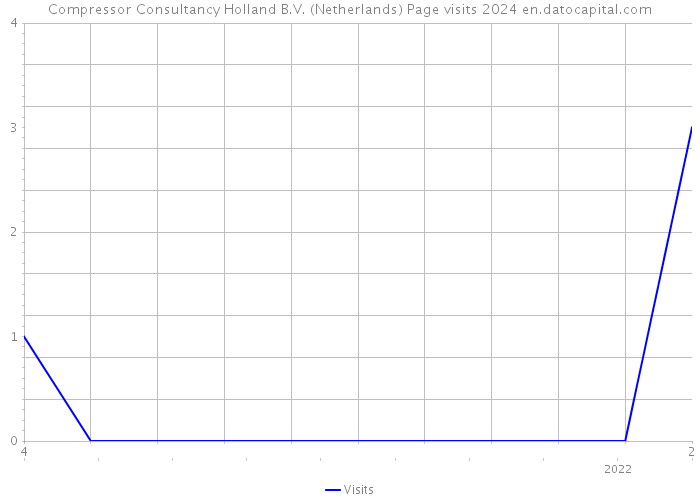 Compressor Consultancy Holland B.V. (Netherlands) Page visits 2024 