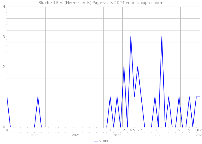Bluebird B.V. (Netherlands) Page visits 2024 