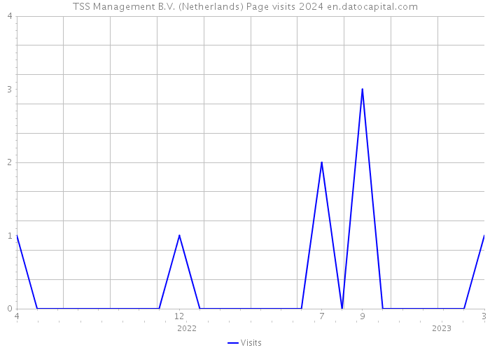 TSS Management B.V. (Netherlands) Page visits 2024 