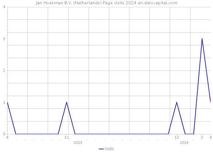 Jan Hoekman B.V. (Netherlands) Page visits 2024 