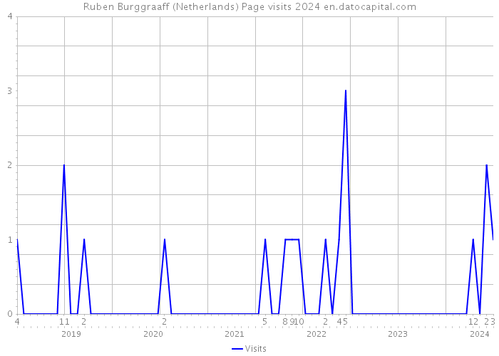 Ruben Burggraaff (Netherlands) Page visits 2024 