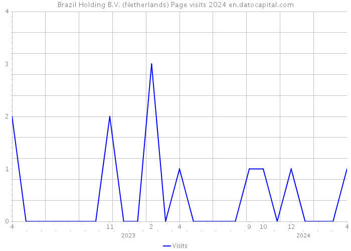 Brazil Holding B.V. (Netherlands) Page visits 2024 