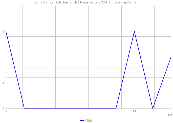 Fabio Ganzer (Netherlands) Page visits 2024 
