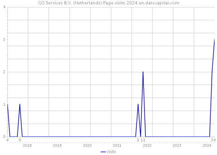 GO Services B.V. (Netherlands) Page visits 2024 