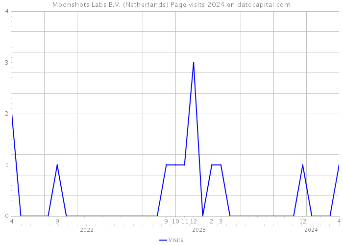 Moonshots Labs B.V. (Netherlands) Page visits 2024 