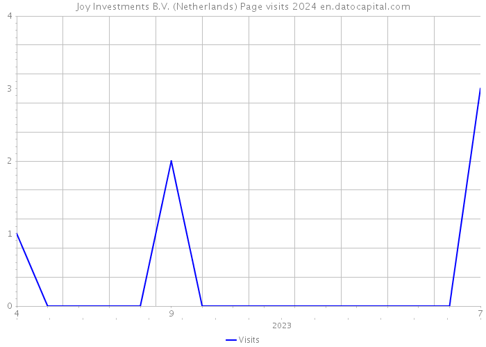 Joy Investments B.V. (Netherlands) Page visits 2024 
