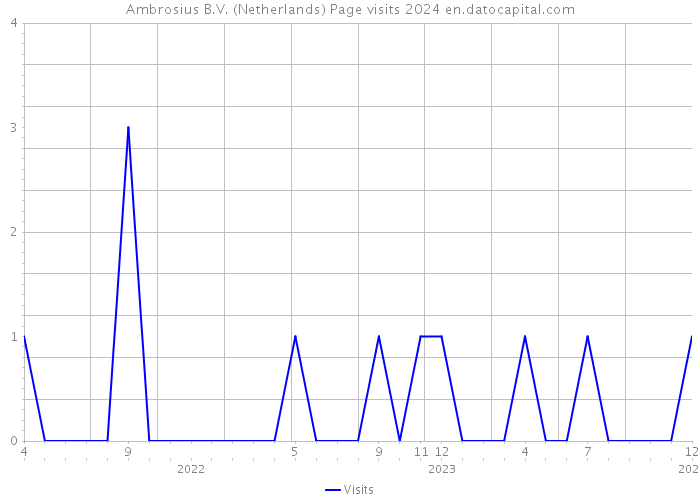 Ambrosius B.V. (Netherlands) Page visits 2024 