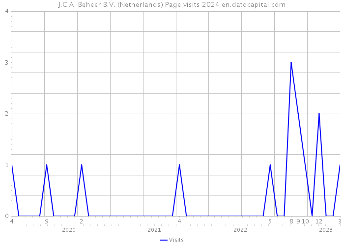 J.C.A. Beheer B.V. (Netherlands) Page visits 2024 