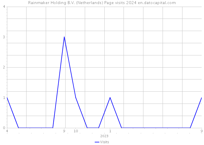 Rainmaker Holding B.V. (Netherlands) Page visits 2024 