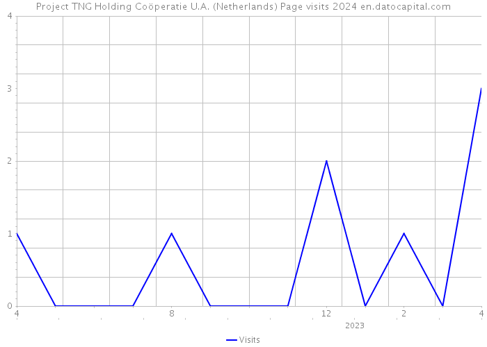 Project TNG Holding Coöperatie U.A. (Netherlands) Page visits 2024 