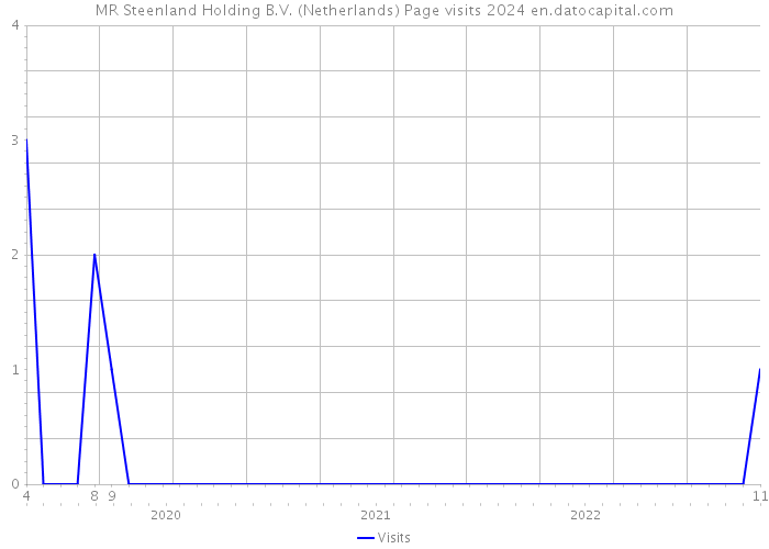MR Steenland Holding B.V. (Netherlands) Page visits 2024 