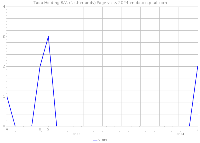 Tada Holding B.V. (Netherlands) Page visits 2024 