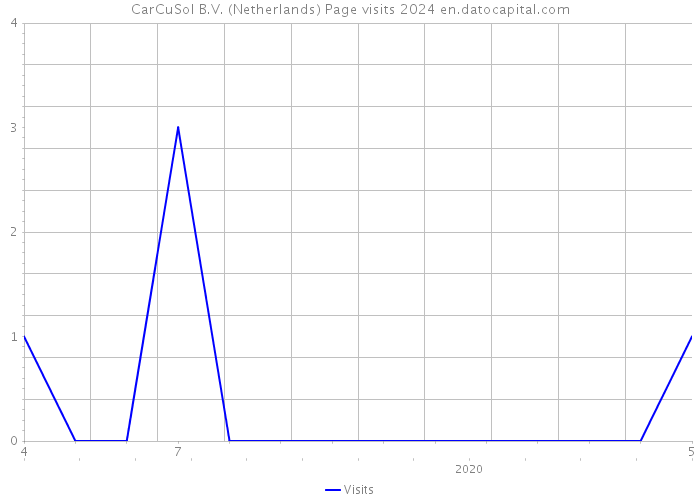 CarCuSol B.V. (Netherlands) Page visits 2024 