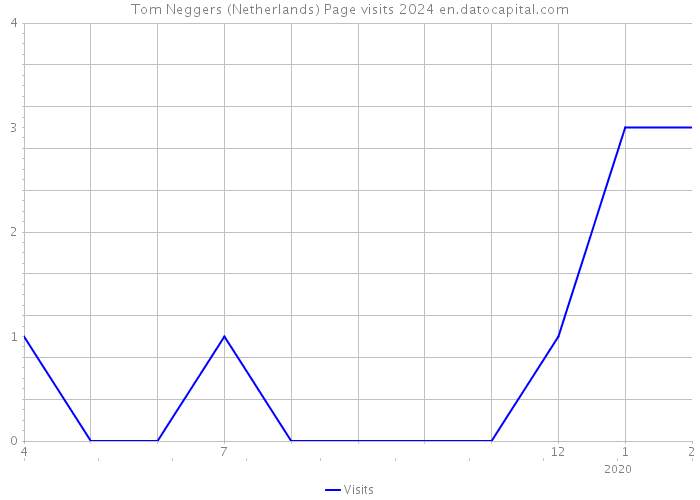 Tom Neggers (Netherlands) Page visits 2024 