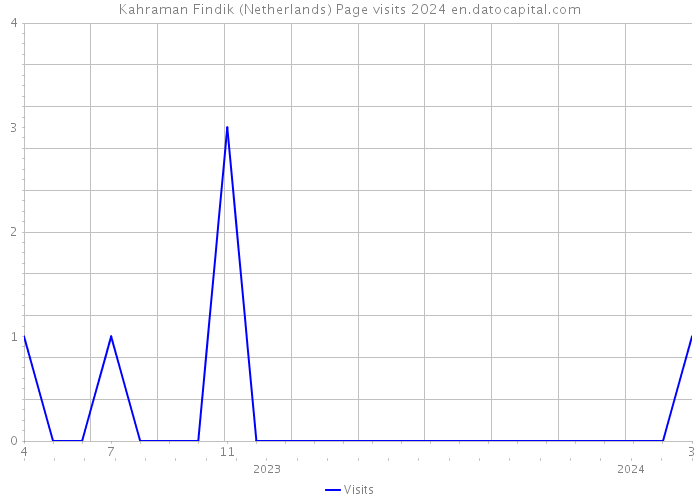 Kahraman Findik (Netherlands) Page visits 2024 