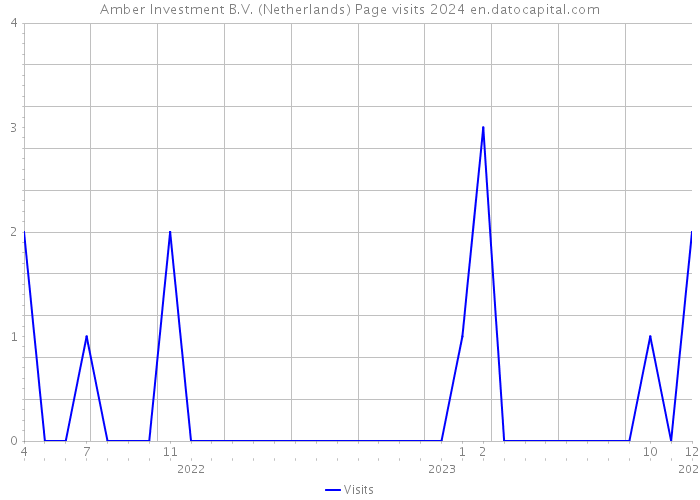 Amber Investment B.V. (Netherlands) Page visits 2024 