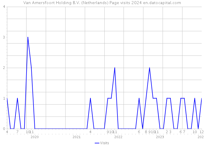 Van Amersfoort Holding B.V. (Netherlands) Page visits 2024 