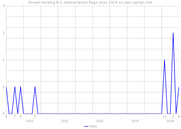 Dream Holding B.V. (Netherlands) Page visits 2024 