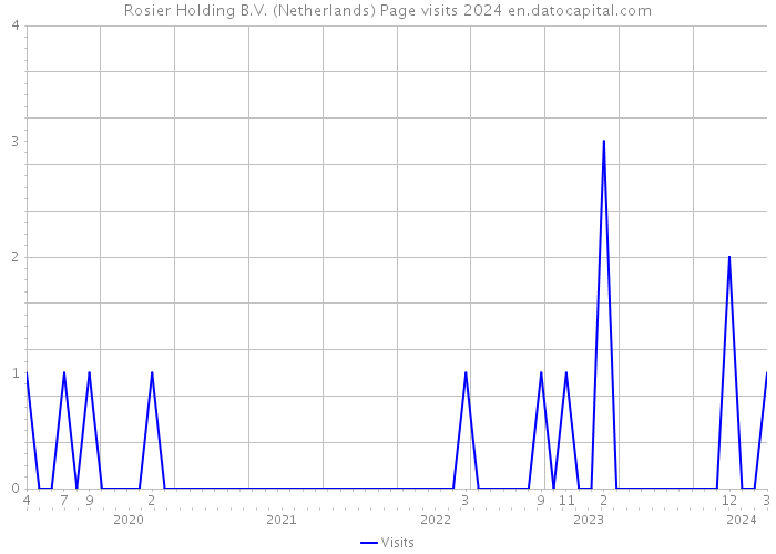 Rosier Holding B.V. (Netherlands) Page visits 2024 