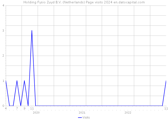 Holding Fysio Zuyd B.V. (Netherlands) Page visits 2024 