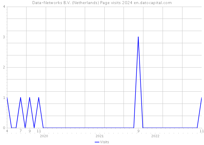 Data-Networks B.V. (Netherlands) Page visits 2024 