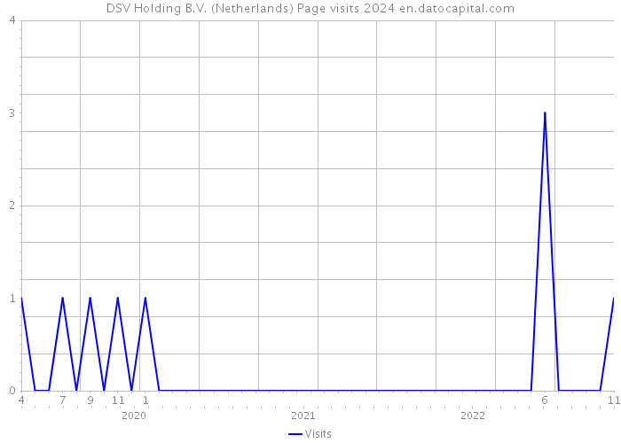 DSV Holding B.V. (Netherlands) Page visits 2024 