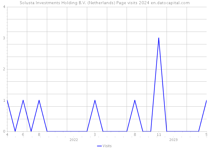 Solusta Investments Holding B.V. (Netherlands) Page visits 2024 