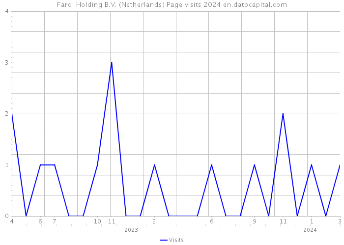 Fardi Holding B.V. (Netherlands) Page visits 2024 